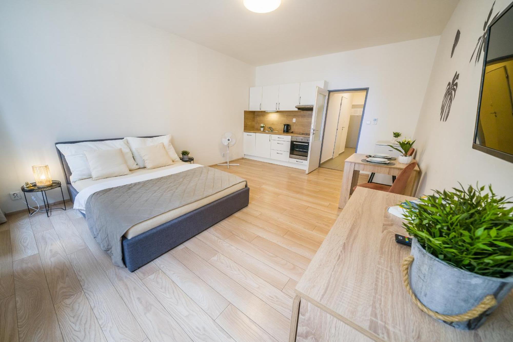 Apartia Vlhka 26, Brno-Center ภายนอก รูปภาพ